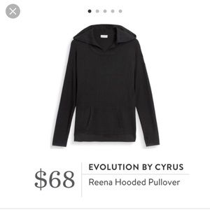 Evolution by Cyrus Reena Pullover (Stitchfix)